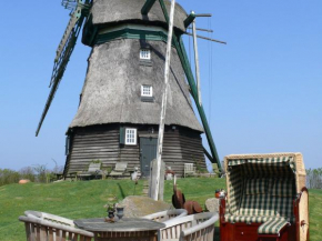 Windmill Holiday home in Farve garden and panoramic views